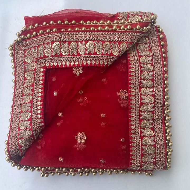 anokherang Dupattas Bridal Heer Red Zari Embroidered Net Stone Trail Dupatta