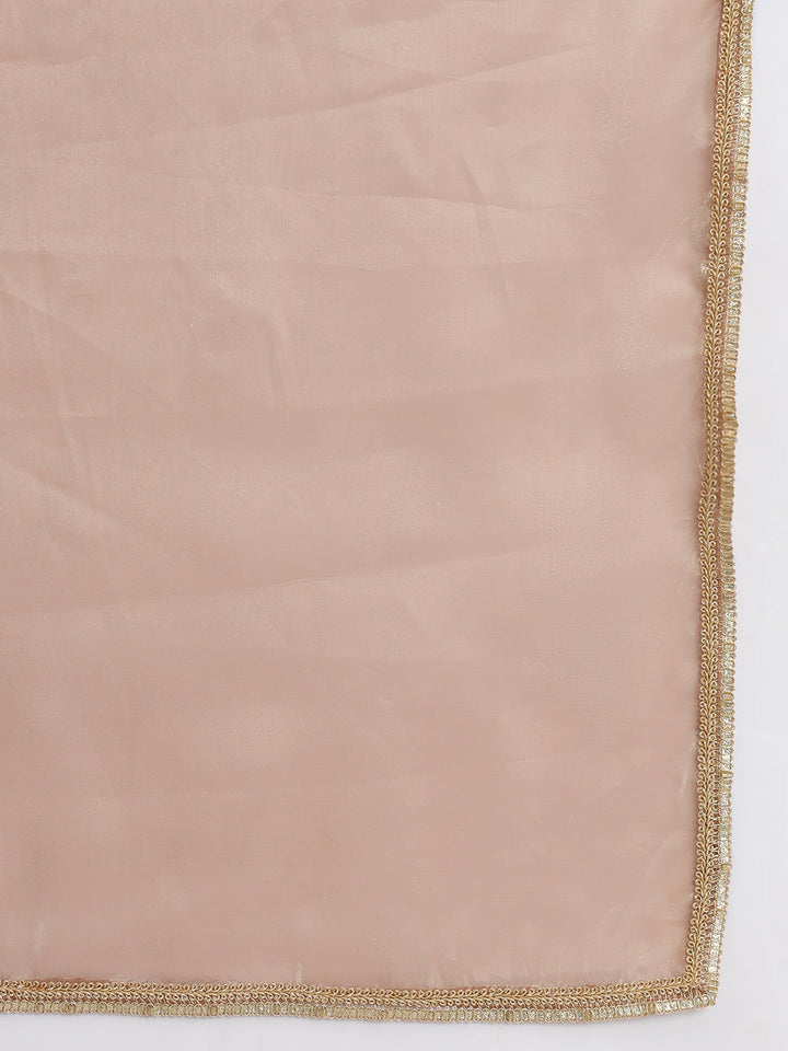 anokherang Combos Bronze Pink Tissue Organza with Pink Pants and Dupatta