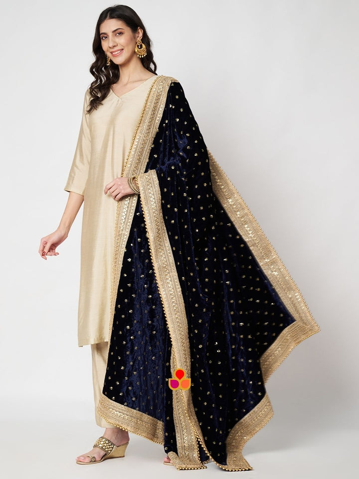 anokherang Dupattas Bridal Afsana Blue Embroidered Sequin Velvet Dupatta