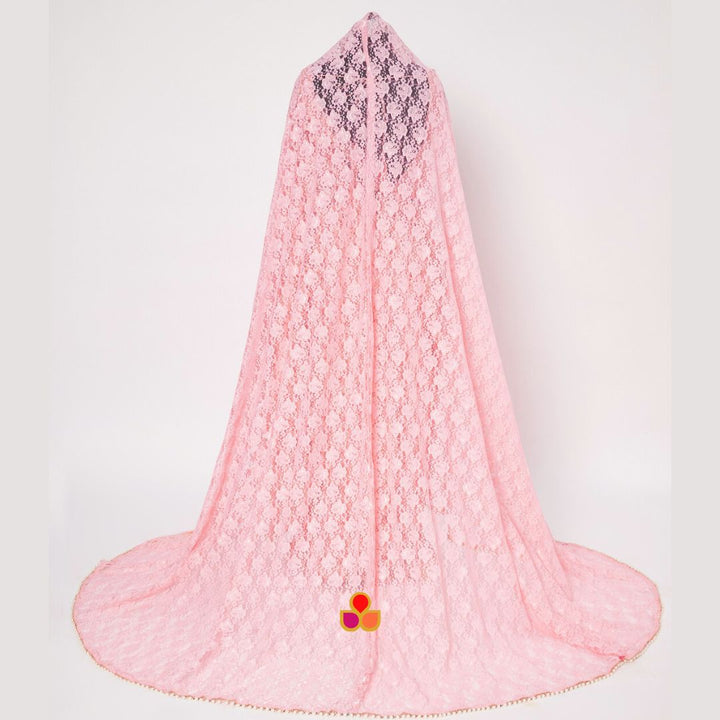 anokherang Dupattas Bridal Baby Pink Embroidered Net Trail Dupatta