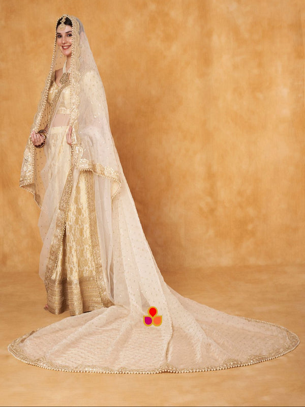 anokherang Dupattas Bridal Pakeeza Ivory Zari Sequin Embroidered Trail Organza Dupatta