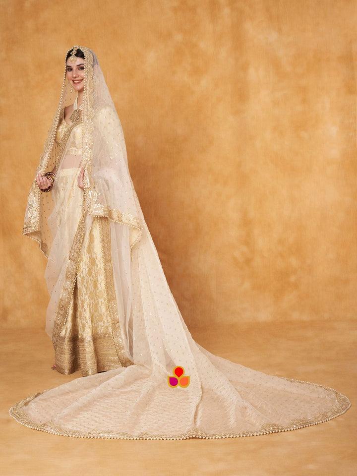 anokherang Dupattas Bridal Pakeeza Ivory Zari Sequin Embroidered Trail Organza Dupatta
