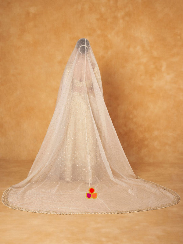 anokherang Dupattas Bridal Pakeeza Ivory Zari Sequin Embroidered Trail Organza Dupatta