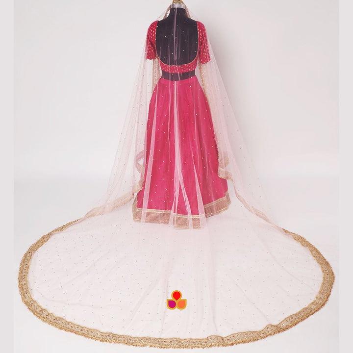 anokherang Dupattas Bridal Pink Magic Trail Embroidered Fringed Net Dupatta