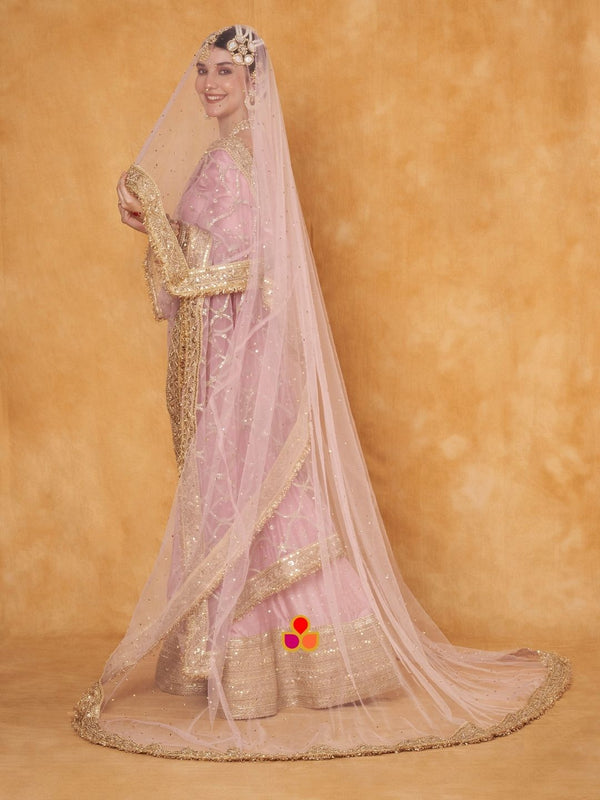 anokherang Dupattas Bridal Pink Magic Trail Embroidered Fringed Net Dupatta