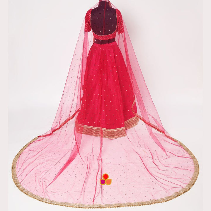 anokherang Dupattas Bridal Pink Trail Gold Net Stone Dupatta