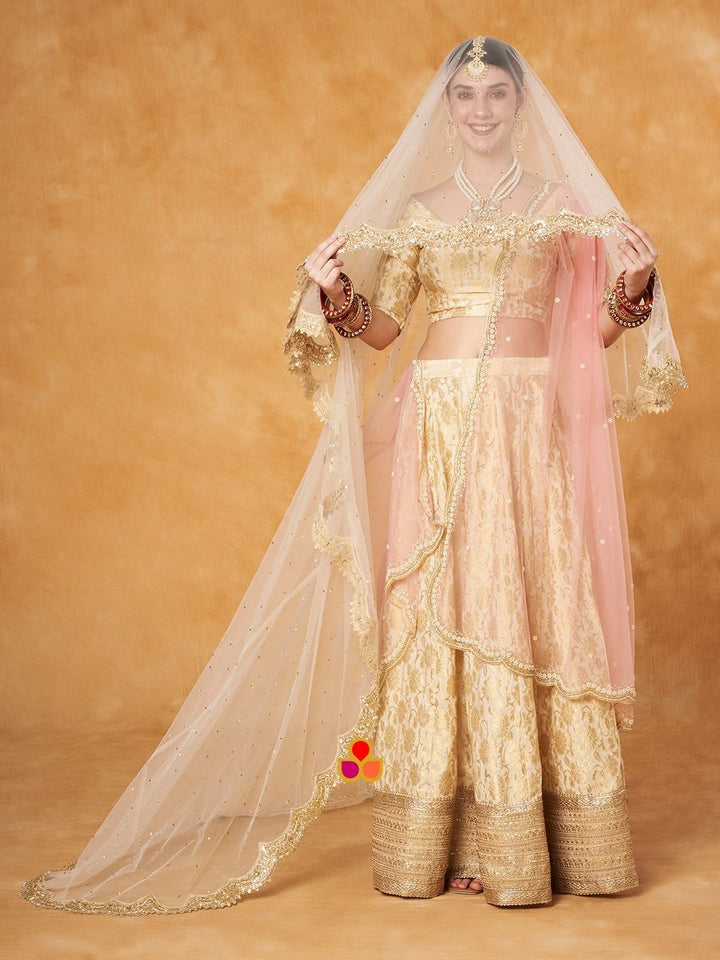 anokherang Dupattas Bridal Reeva Ivory Veil Scalloped Cutdana Embroidered Net Veil