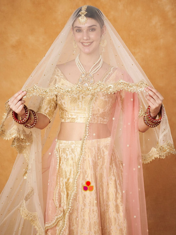 anokherang Dupattas Bridal Reeva Ivory Veil Scalloped Cutdana Embroidered Net Veil