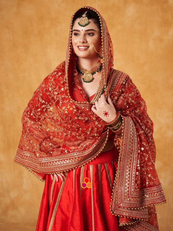 anokherang Dupattas Bridal Samaira Red Zari Embroidered Net Dupatta