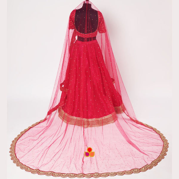 anokherang Dupattas Bridal Saugaat Pink Trail Stone Scalloped Net Dupatta