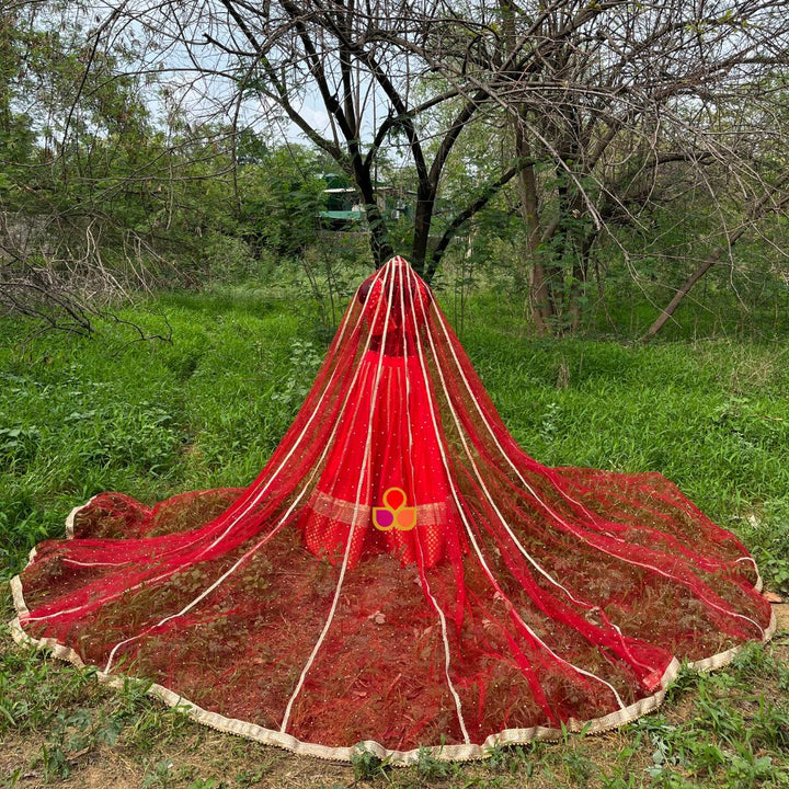 anokherang Dupattas Bridal Sindoor Red Net Stone Pannel Trail Dupatta