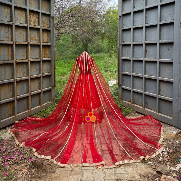 anokherang Dupattas Bridal Sindoor Red Net Stone Pannel Trail Dupatta