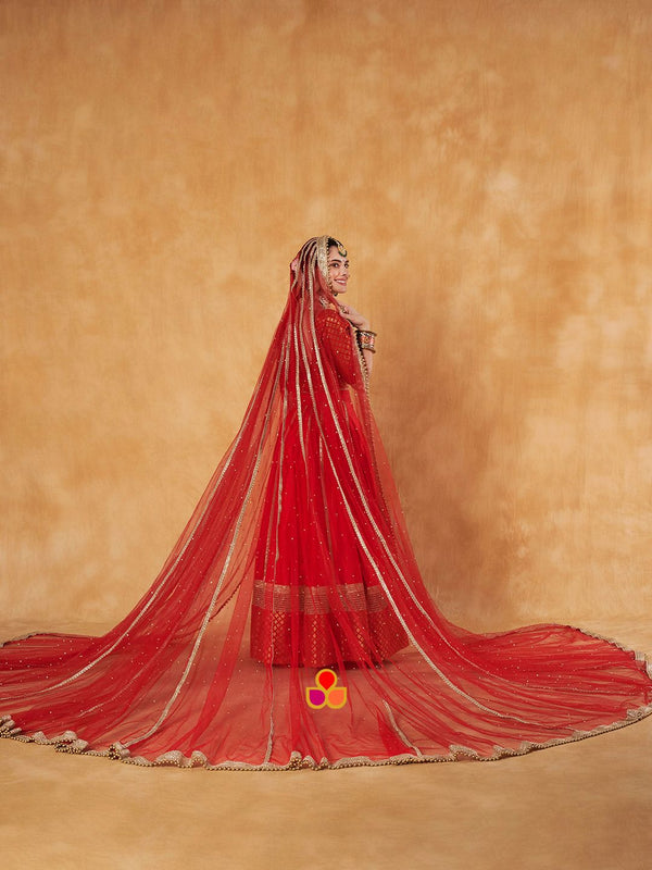 anokherang Dupattas Bridal Sindoor Red Net Stone Pannel Trail Dupatta