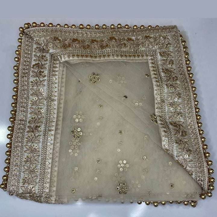 anokherang Dupattas Copy of Bridal Noor Ivory Zari Embroidered Net Stone Dupatta