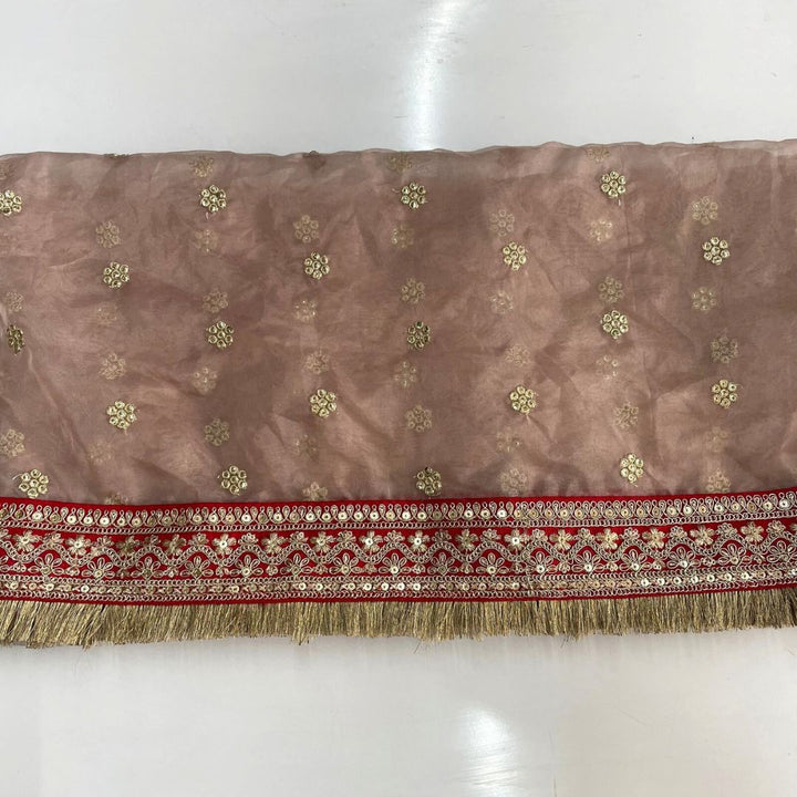 anokherang Dupattas Copy of Bridal Saugaat Red Embroidered Fringed Organza Dupatta