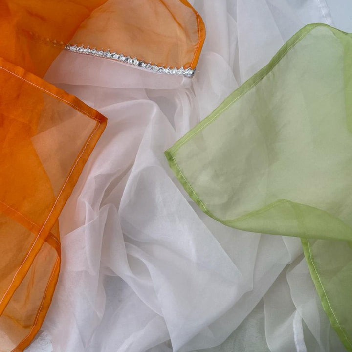 anokherang Dupattas Freedom Tricolor Organza Dupatta