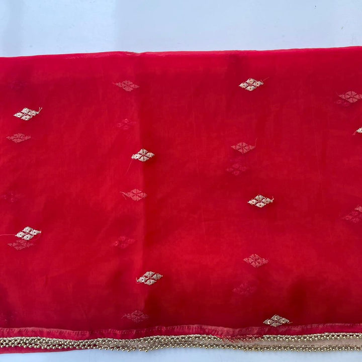 anokherang Dupattas Red Glory Delight Zari Embroidered Organza Dupatta