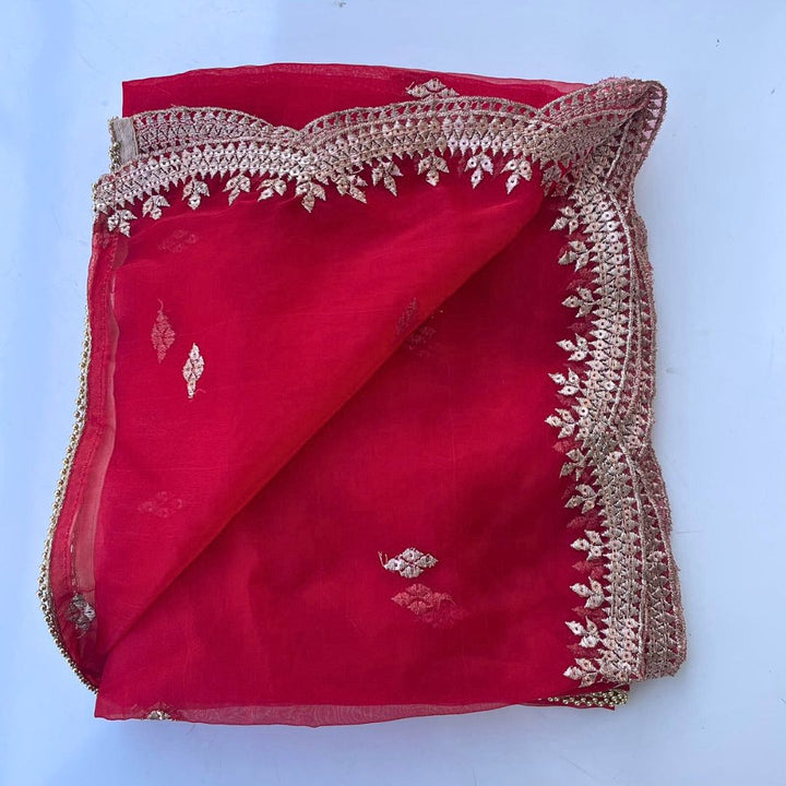 anokherang Dupattas Red Glory Delight Zari Embroidered Organza Dupatta