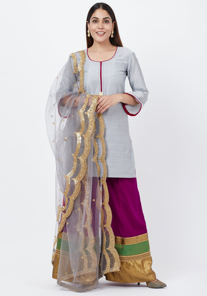 anokherang Combos Gray Straight Short Kurti with Velvet Multi Border Palazzo and Gray Scalloped Border Dupatta