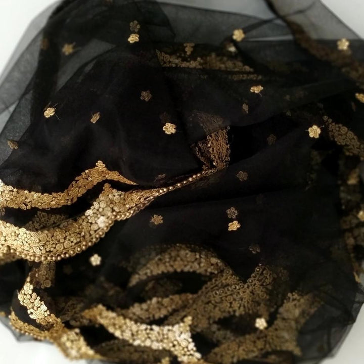 anokherang Dupattas Black Sequence Trail Net Dupatta