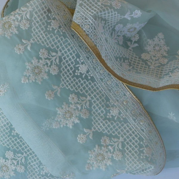 Blush Blue Chikankari Organza Dupatta