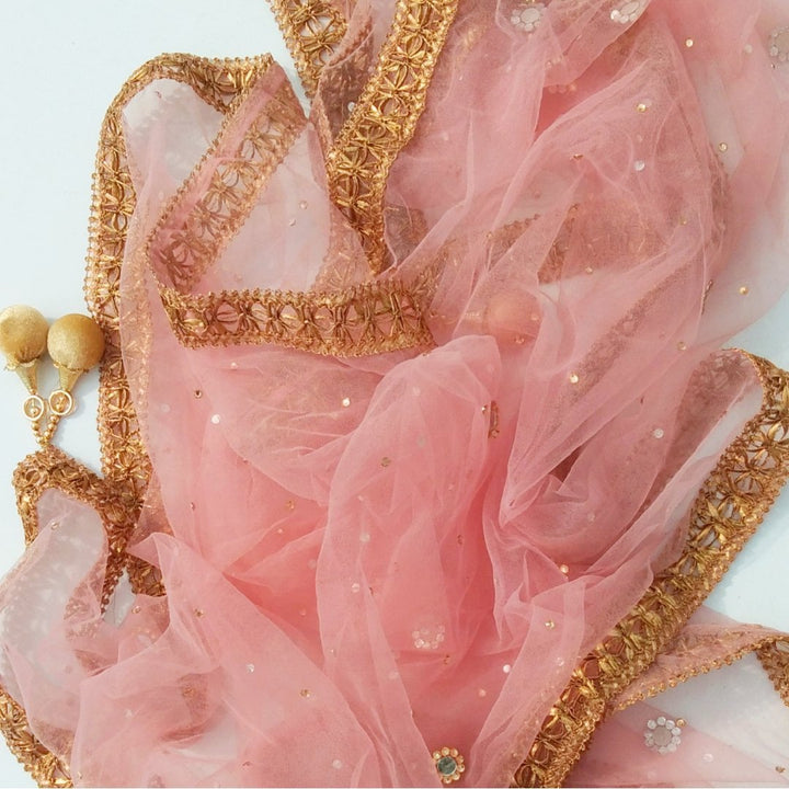 anokherang Dupattas Blush Pink Net Mirror Net Dupatta