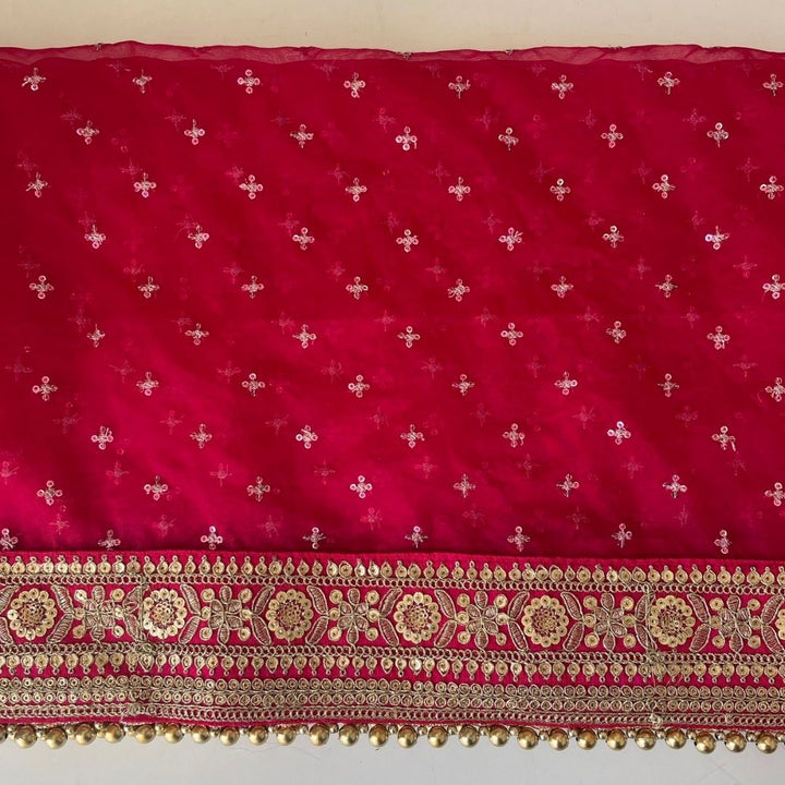 anokherang Dupattas Bridal Pakeeza Pink Sequin Embroidered Organza Dupatta