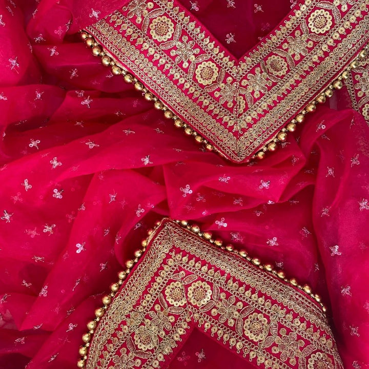 anokherang Dupattas Bridal Pakeeza Pink Sequin Embroidered Organza Dupatta
