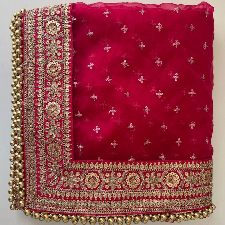 anokherang Dupattas Bridal Pakeeza Pink Sequin Embroidered Organza Dupatta