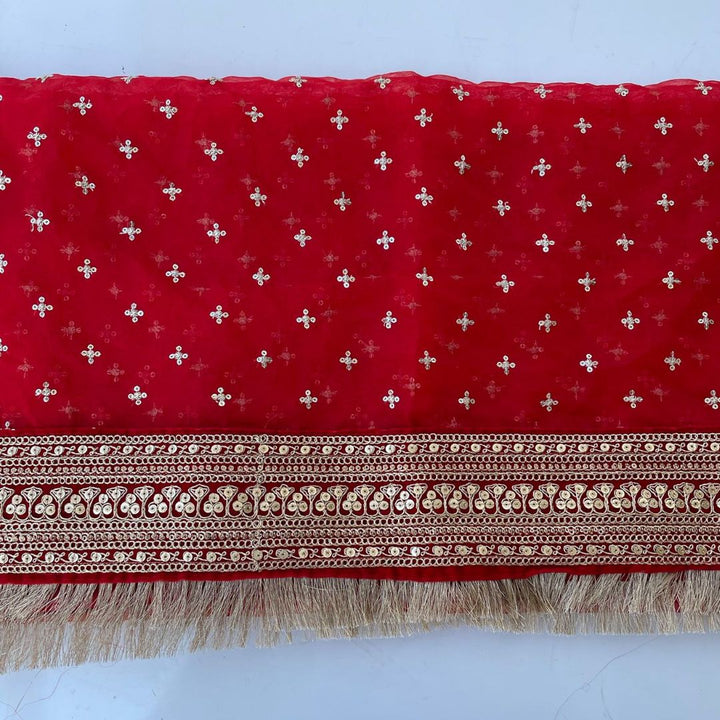 anokherang Dupattas Bridal Pakeeza Red Embroidered Fringed Organza Dupatta