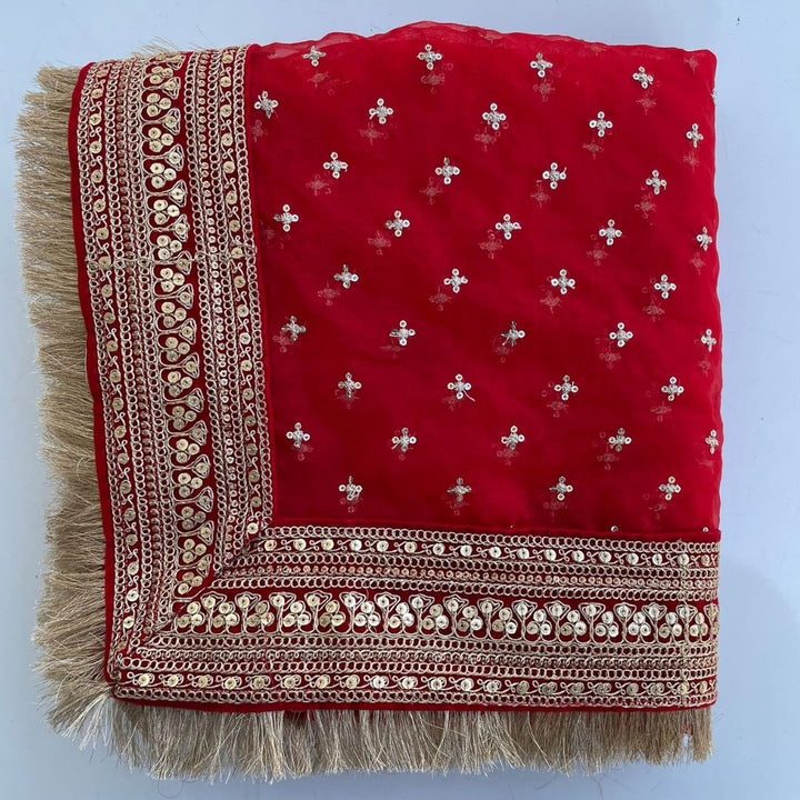 anokherang Dupattas Bridal Pakeeza Red Embroidered Fringed Organza Dupatta