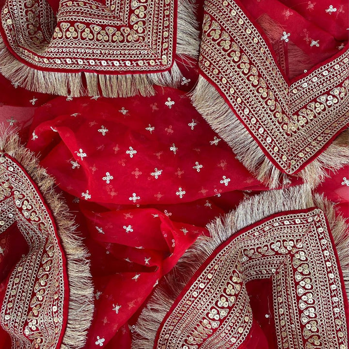 anokherang Dupattas Bridal Pakeeza Red Embroidered Fringed Organza Dupatta