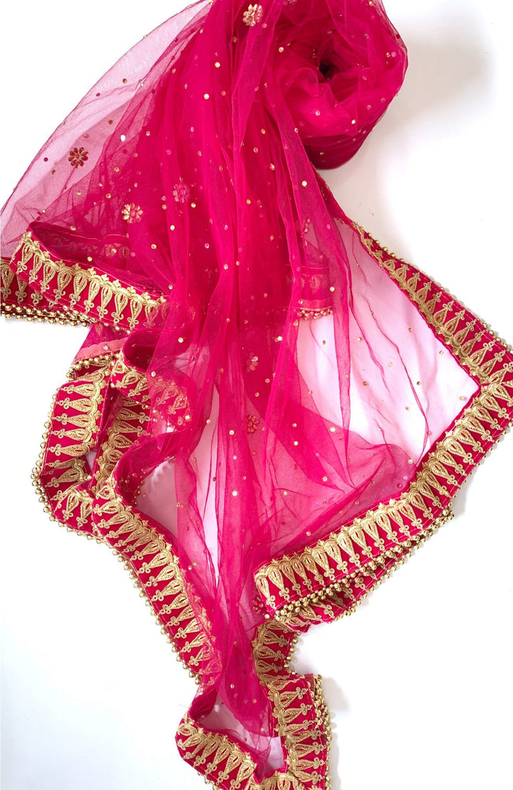 anokherang Dupattas Bridal Pink Stone Velvet Embroidered Net Dupatta