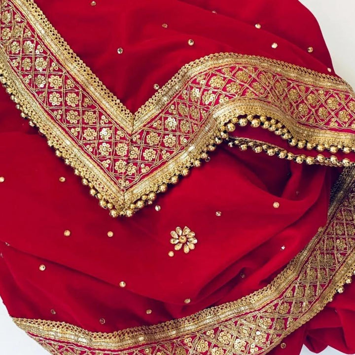 anokherang Dupattas Bridal Pink Zari and Stone Embroidered Velvet Dupatta