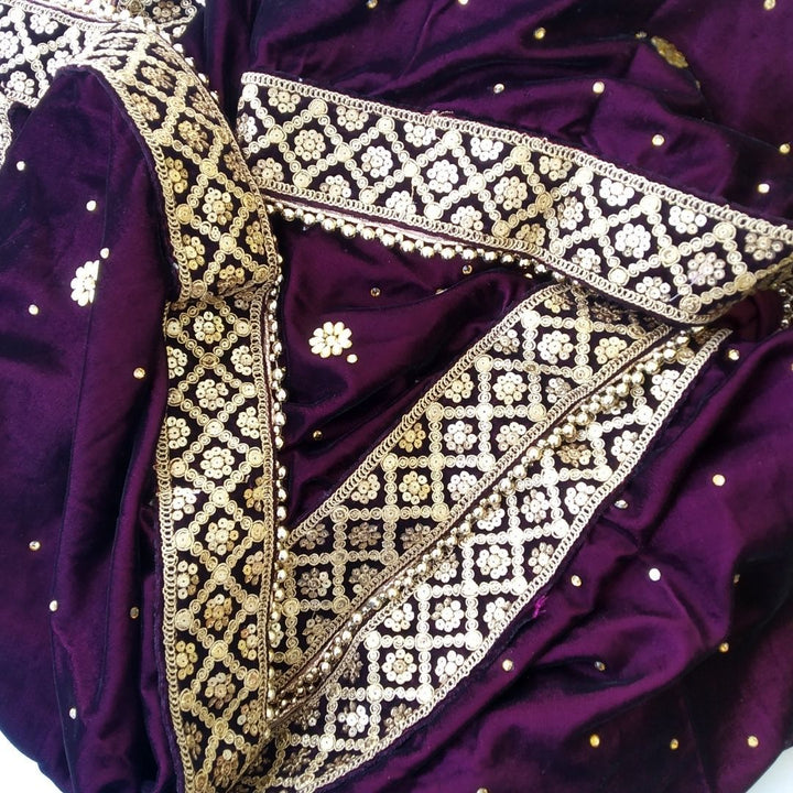 anokherang Dupattas Bridal Purple Stone Embroidered Velvet Dupatta