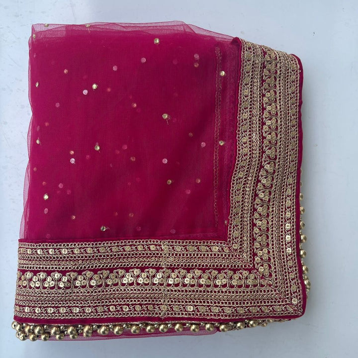 anokherang Dupattas Bridal Queen Pink Trail Net Stone Embroidered Fringed Net Dupatta