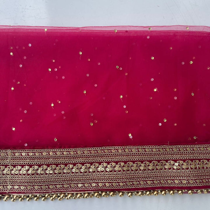 anokherang Dupattas Bridal Queen Pink Trail Net Stone Embroidered Fringed Net Dupatta
