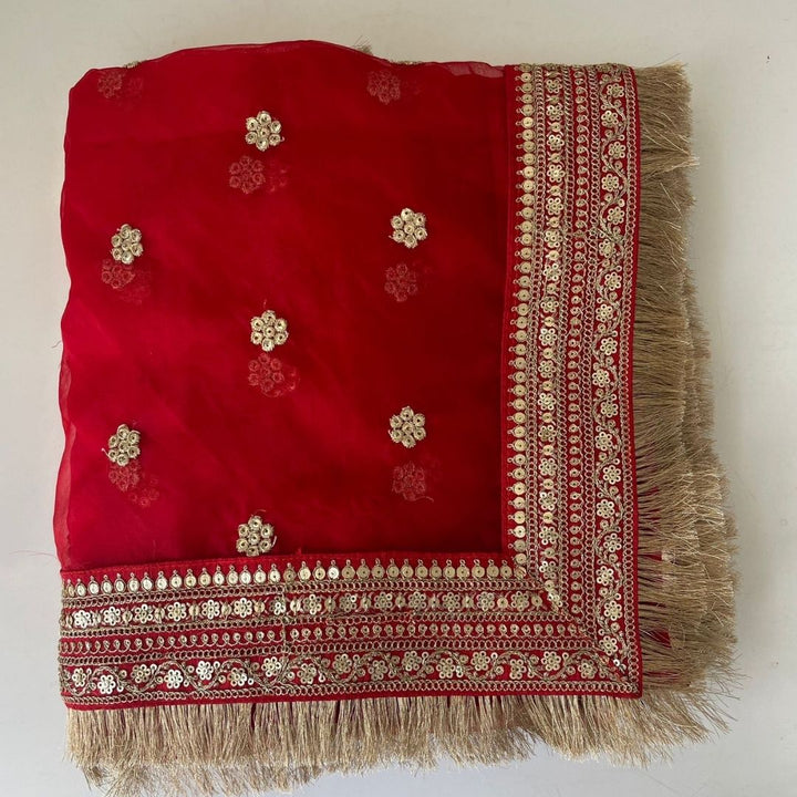 anokherang Dupattas Bridal Saugat Red Embroidered Fringed Organza Dupatta