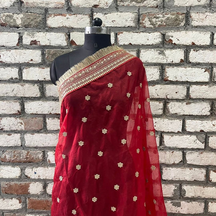 anokherang Dupattas Bridal Saugat Red Embroidered Fringed Organza Dupatta