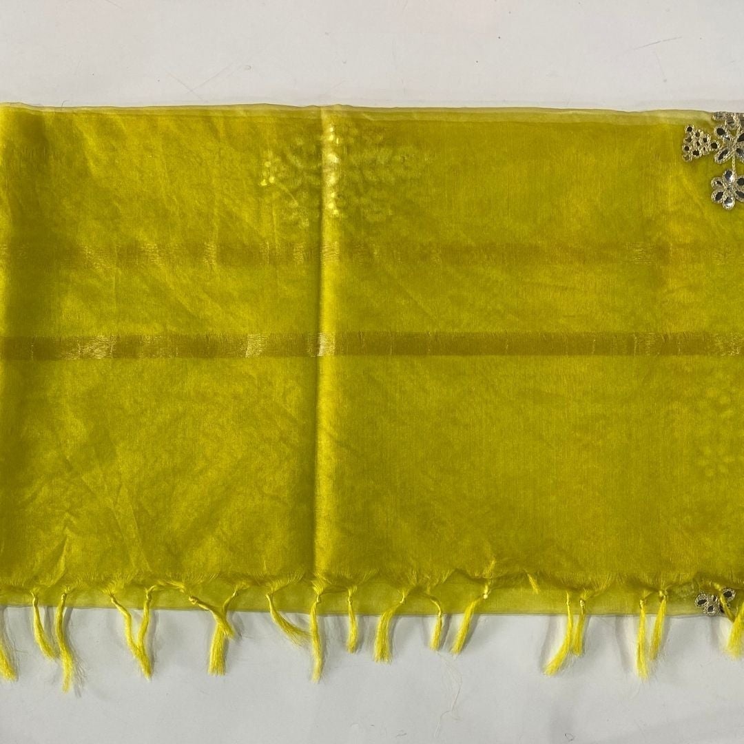 Classic Lime Yellow Embroidered Organza Dupatta anokherang