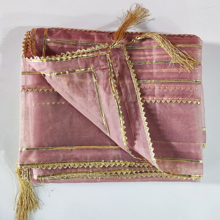 anokherang Dupattas Classic Pink Gotta Embroidered Organza Dupatta