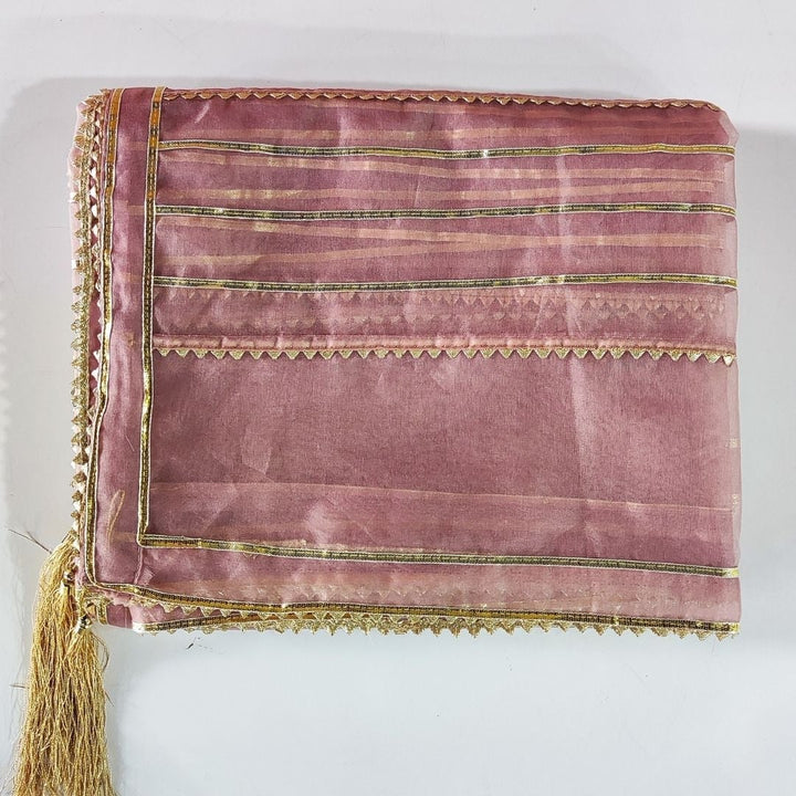 anokherang Dupattas Classic Pink Gotta Embroidered Organza Dupatta