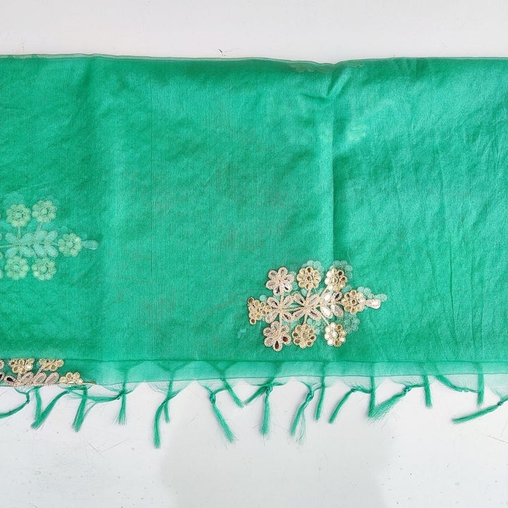 anokherang Dupattas Classic Turquoise Embroidered Organza Dupatta