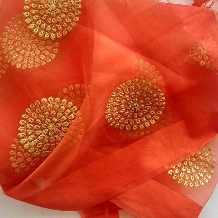 anokherang Dupattas Default Title Orange Gold Thread Embroidered Organza Dupatta