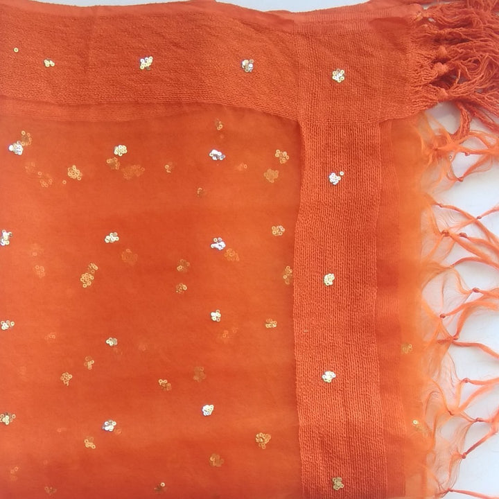 anokherang Dupattas Default Title Saffron Sequenced Organza Dupatta