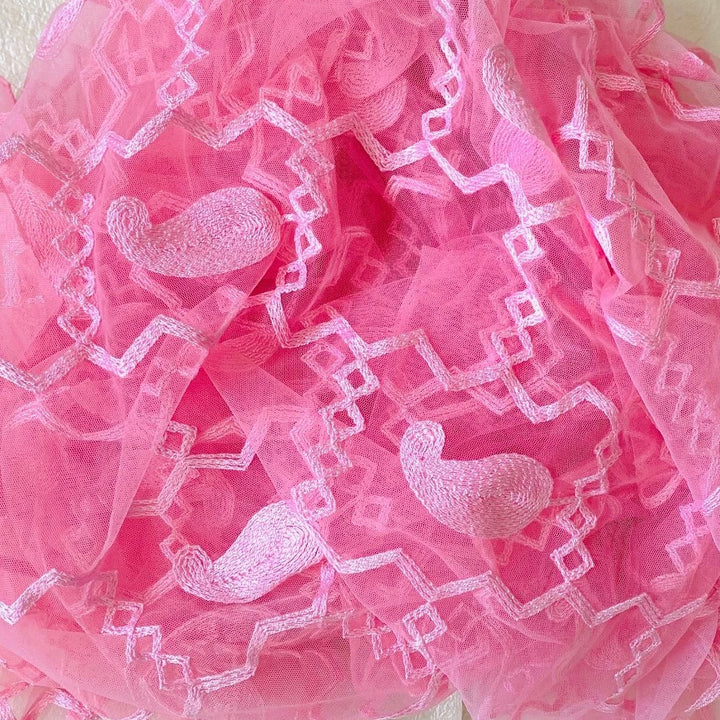 anokherang Dupattas Fuscia Pink Zig-Zag Embroidered Net Dupatta