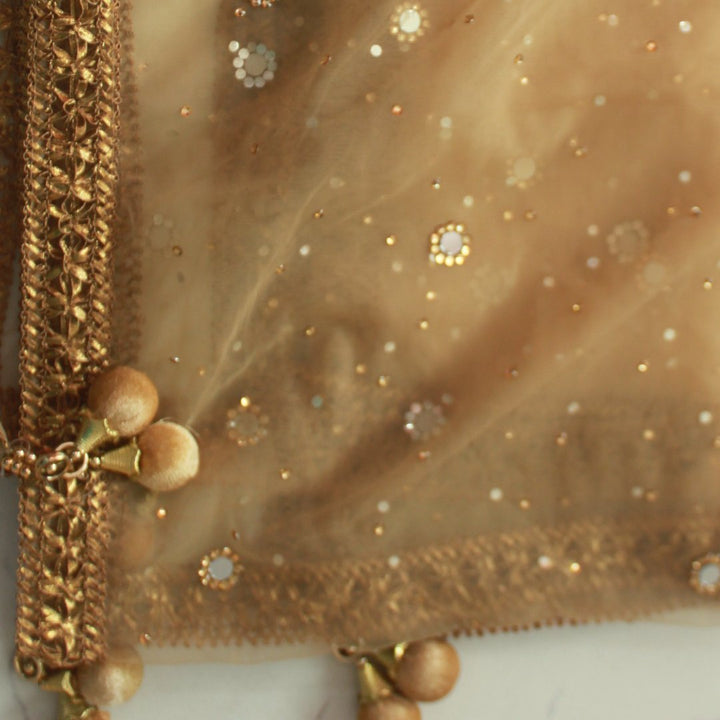 anokherang Dupattas Gold Net Mirror Stone Dupatta