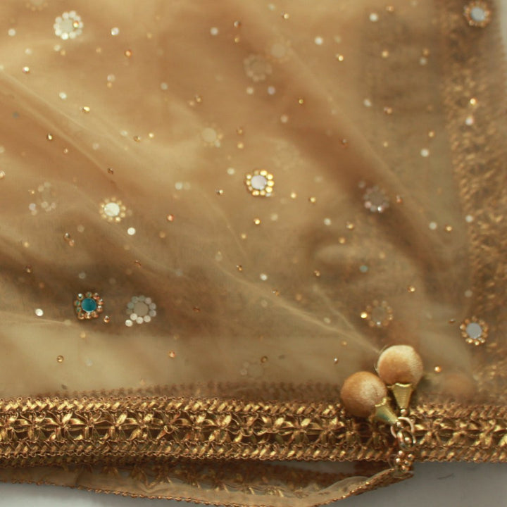 anokherang Dupattas Gold Net Mirror Stone Dupatta