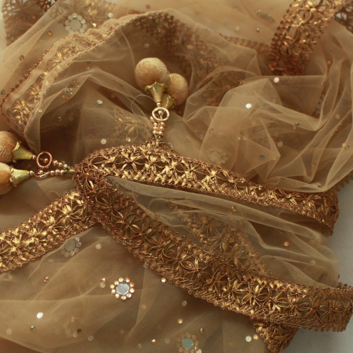 anokherang Dupattas Gold Net Mirror Stone Dupatta