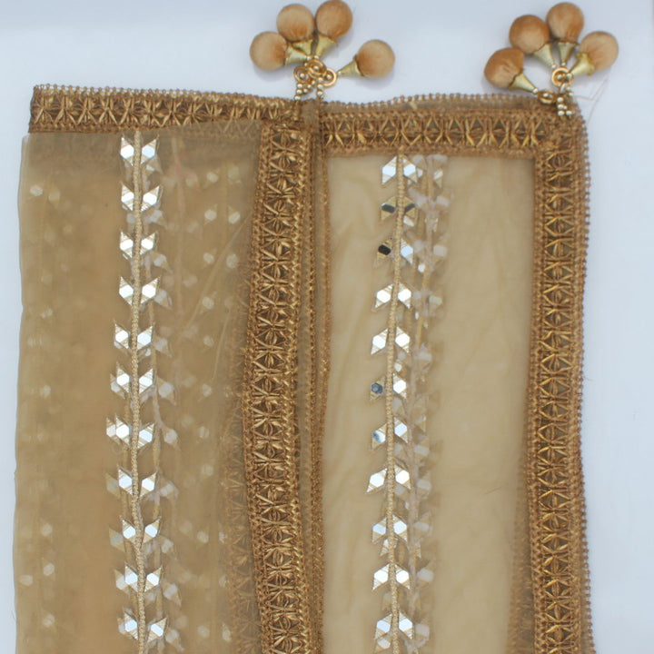 anokherang Dupattas Gold Net Mirror Trails Dupatta